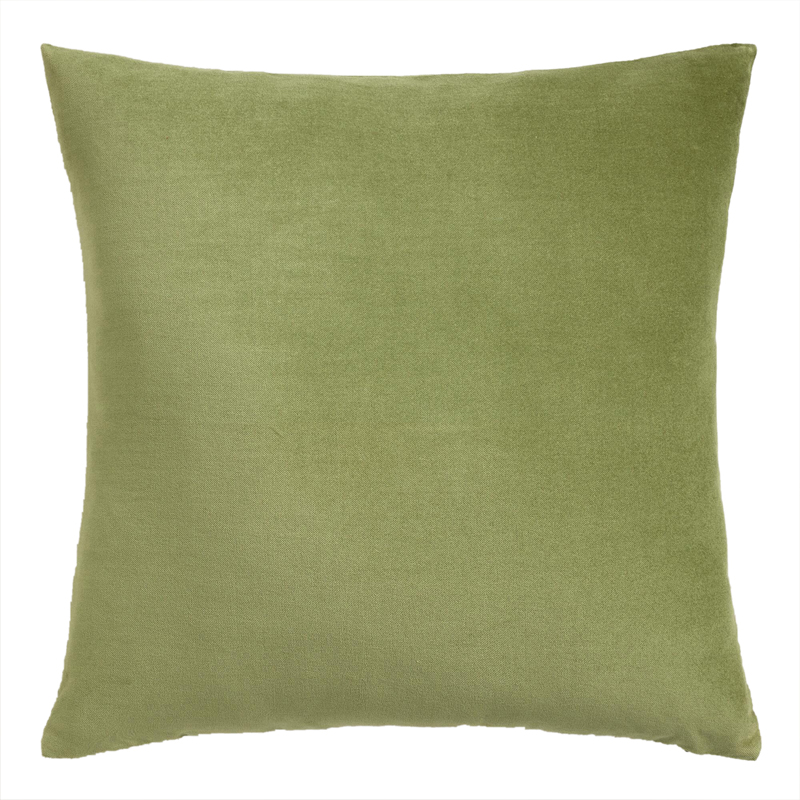 Green Iguana Velvet Pillow 18 x 18
