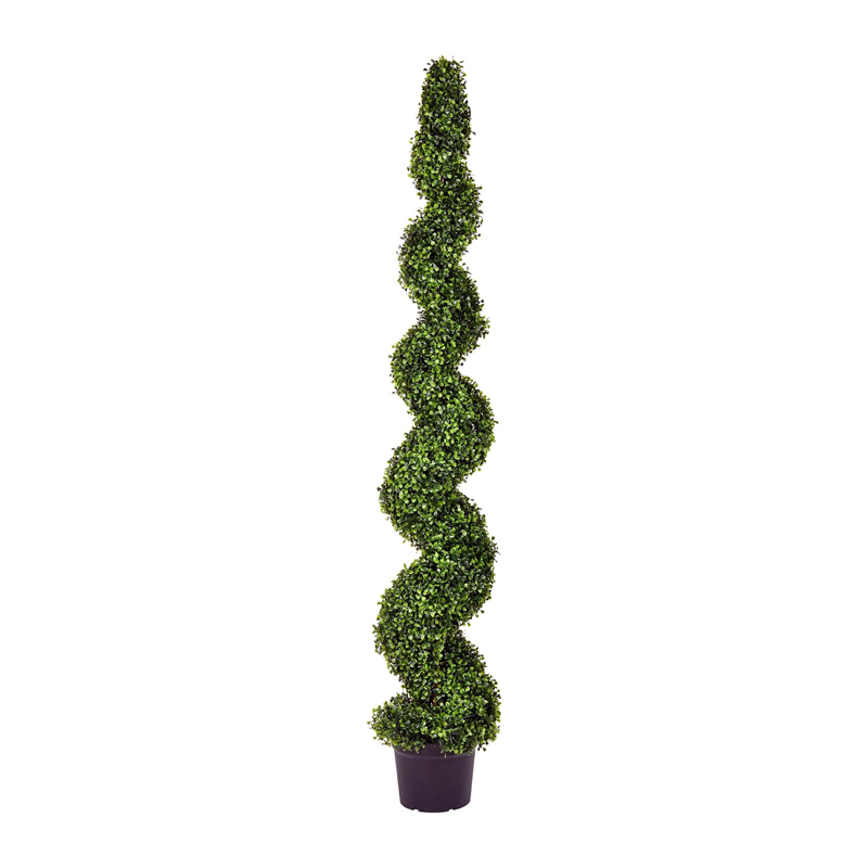 Garden Boxwood Topiary 6' Spiral